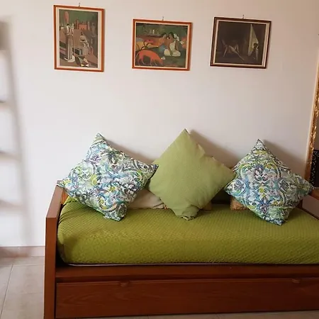 Flat Apartment